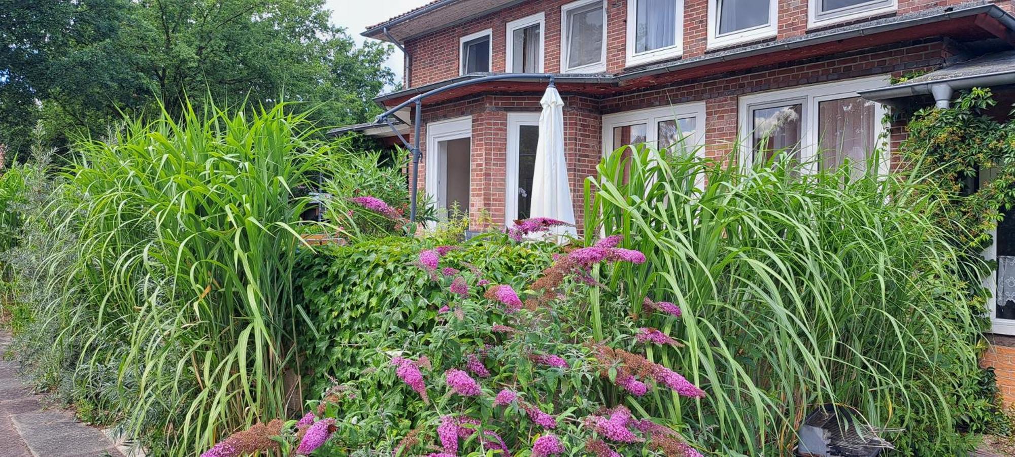 Schillers Landhaus Neu Darchau Eksteriør bilde